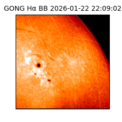 gong - 2026-01-22T22:09:02
