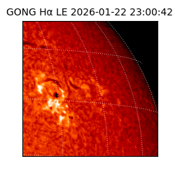 gong - 2026-01-22T23:00:42