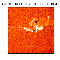 gong - 2026-01-22T01:00:42