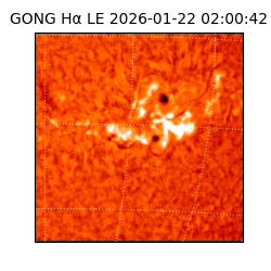 gong - 2026-01-22T02:00:42