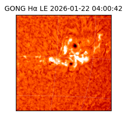 gong - 2026-01-22T04:00:42