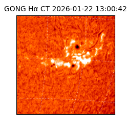 gong - 2026-01-22T13:00:42