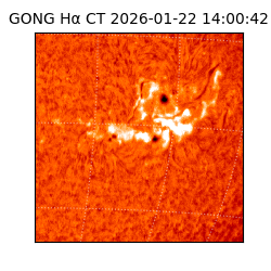 gong - 2026-01-22T14:00:42