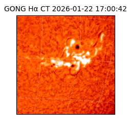 gong - 2026-01-22T17:00:42