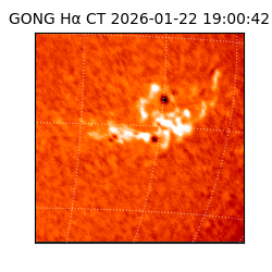 gong - 2026-01-22T19:00:42