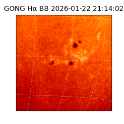 gong - 2026-01-22T21:14:02