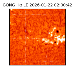 gong - 2026-01-22T02:00:42