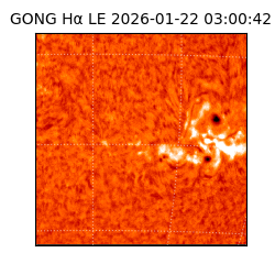 gong - 2026-01-22T03:00:42