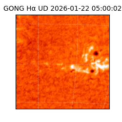 gong - 2026-01-22T05:00:02