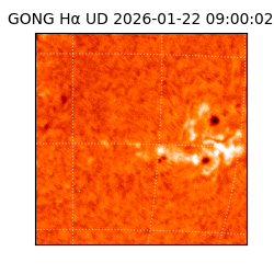 gong - 2026-01-22T09:00:02