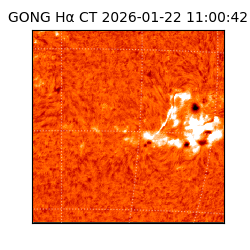 gong - 2026-01-22T11:00:42