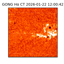 gong - 2026-01-22T12:00:42