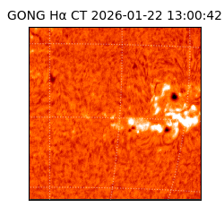 gong - 2026-01-22T13:00:42