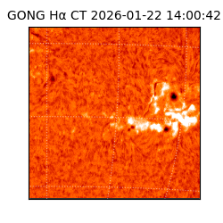 gong - 2026-01-22T14:00:42