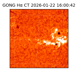 gong - 2026-01-22T16:00:42