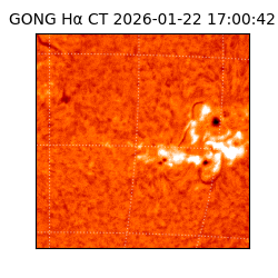 gong - 2026-01-22T17:00:42