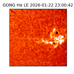 gong - 2026-01-22T23:00:42