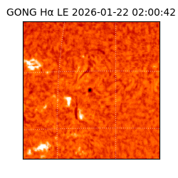 gong - 2026-01-22T02:00:42