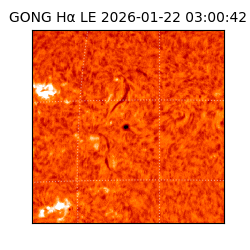 gong - 2026-01-22T03:00:42