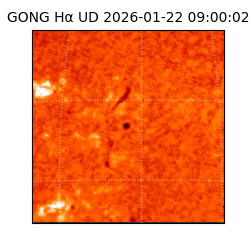 gong - 2026-01-22T09:00:02