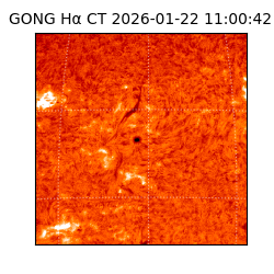 gong - 2026-01-22T11:00:42