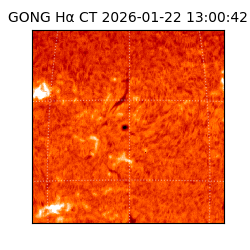 gong - 2026-01-22T13:00:42