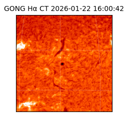 gong - 2026-01-22T16:00:42