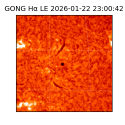 gong - 2026-01-22T23:00:42