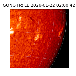 gong - 2026-01-22T02:00:42