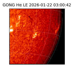 gong - 2026-01-22T03:00:42