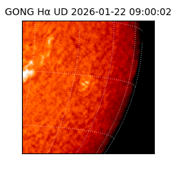 gong - 2026-01-22T09:00:02