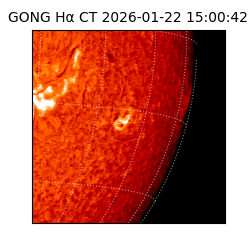 gong - 2026-01-22T15:00:42