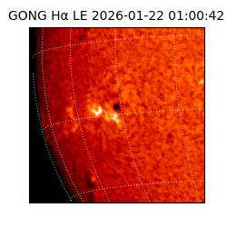 gong - 2026-01-22T01:00:42