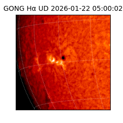 gong - 2026-01-22T05:00:02