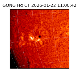 gong - 2026-01-22T11:00:42