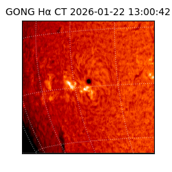 gong - 2026-01-22T13:00:42