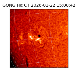 gong - 2026-01-22T15:00:42