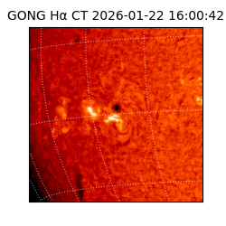 gong - 2026-01-22T16:00:42