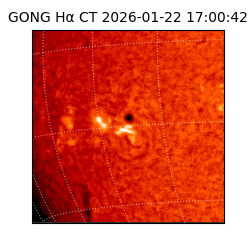 gong - 2026-01-22T17:00:42