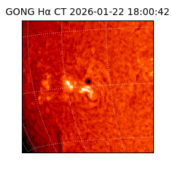 gong - 2026-01-22T18:00:42