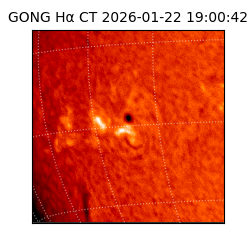 gong - 2026-01-22T19:00:42