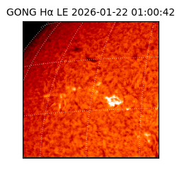 gong - 2026-01-22T01:00:42