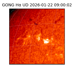 gong - 2026-01-22T09:00:02