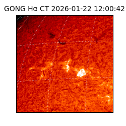 gong - 2026-01-22T12:00:42