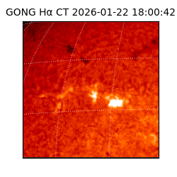 gong - 2026-01-22T18:00:42