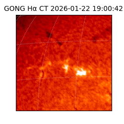 gong - 2026-01-22T19:00:42