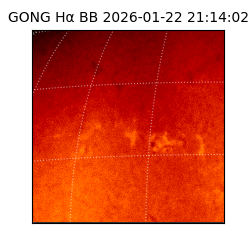 gong - 2026-01-22T21:14:02