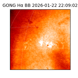 gong - 2026-01-22T22:09:02