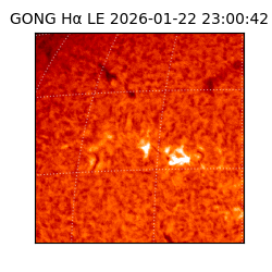 gong - 2026-01-22T23:00:42