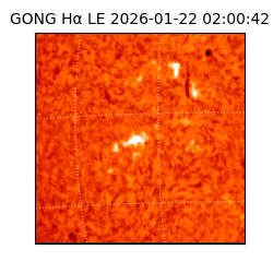 gong - 2026-01-22T02:00:42